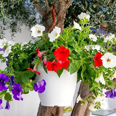 Villa Del Capo Suites Rhodes City ภายนอก รูปภาพ