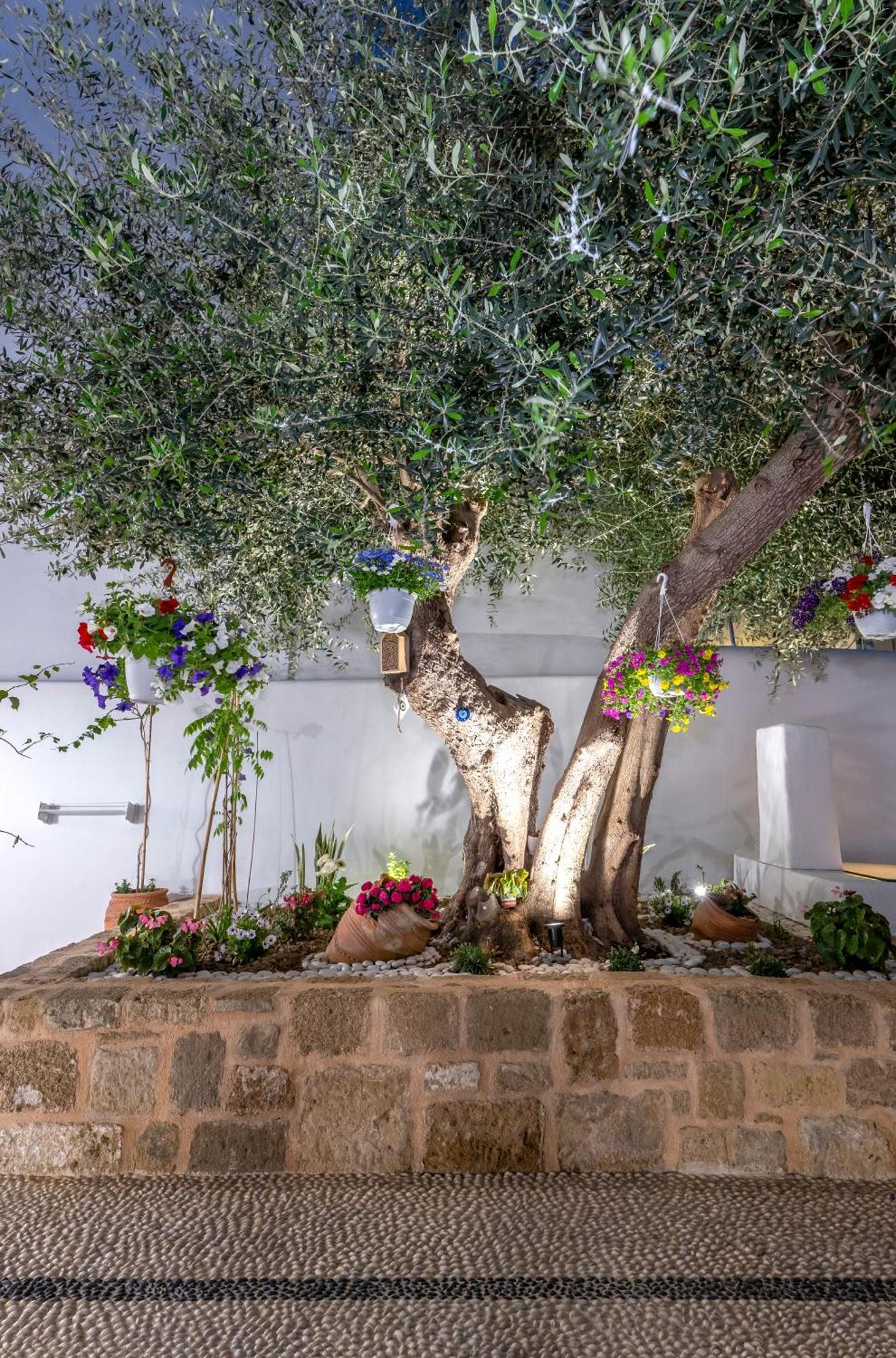 Villa Del Capo Suites Rhodes City ภายนอก รูปภาพ