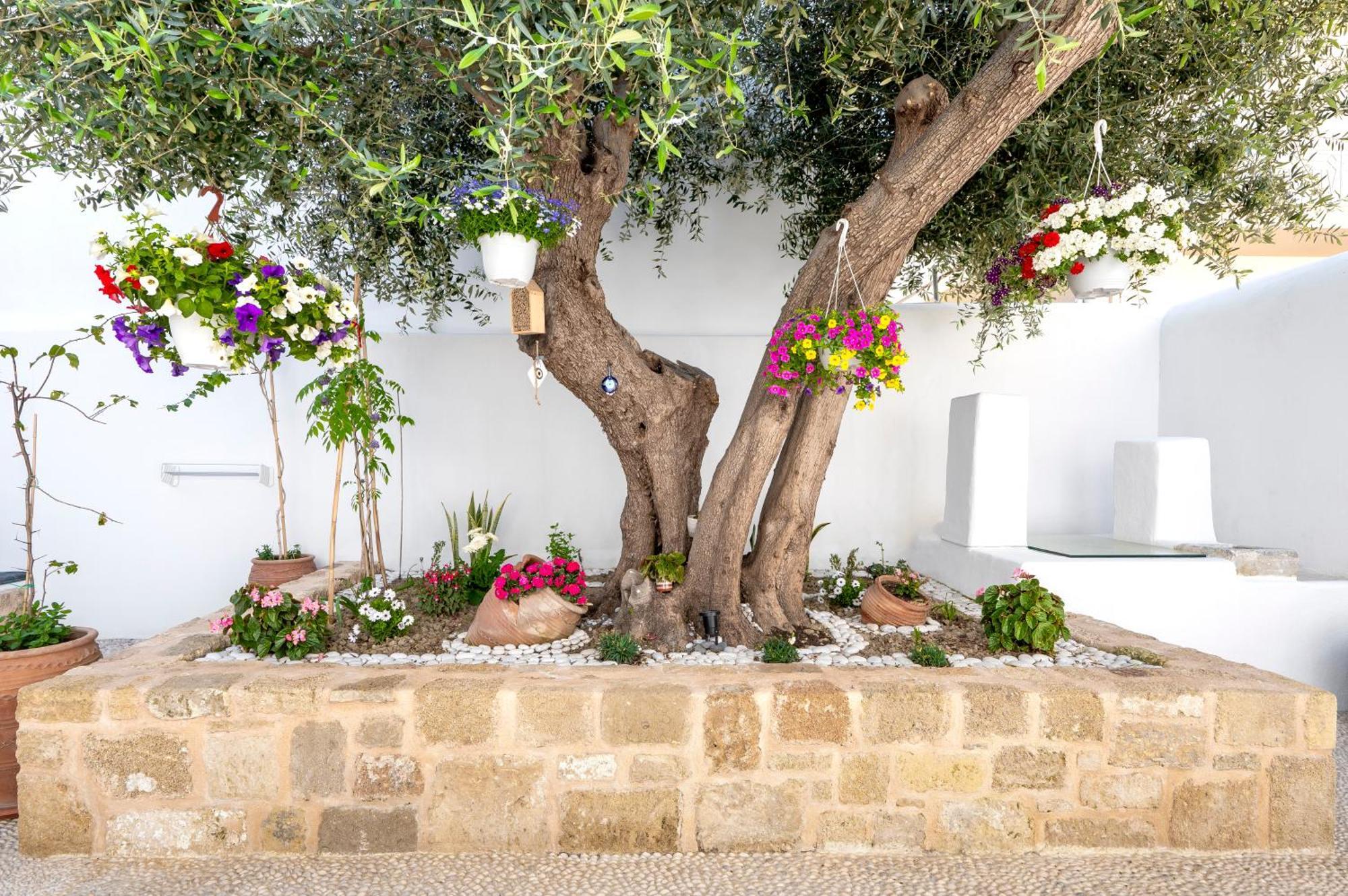 Villa Del Capo Suites Rhodes City ภายนอก รูปภาพ